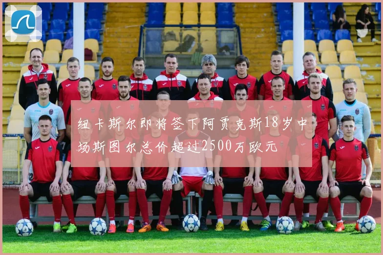 纽卡斯尔即将签下阿贾克斯18岁中场斯图尔总价超过2500万欧元