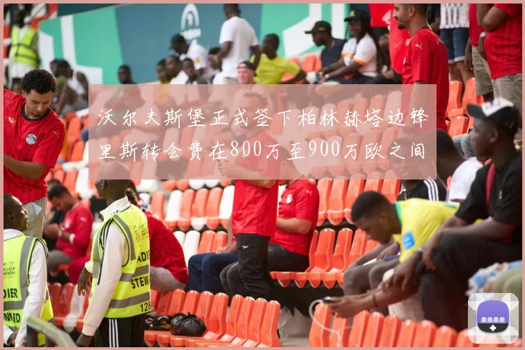 沃尔夫斯堡正式签下柏林赫塔边锋里斯转会费在800万至900万欧之间